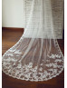 Beautiful Lace Tulle Bridal Wedding Veil